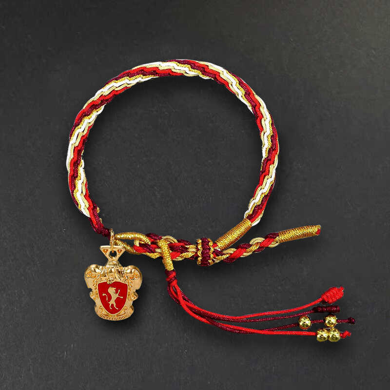 Harry Potter Bracelet, Slyther - Model Kit Harry Potter avis et prix